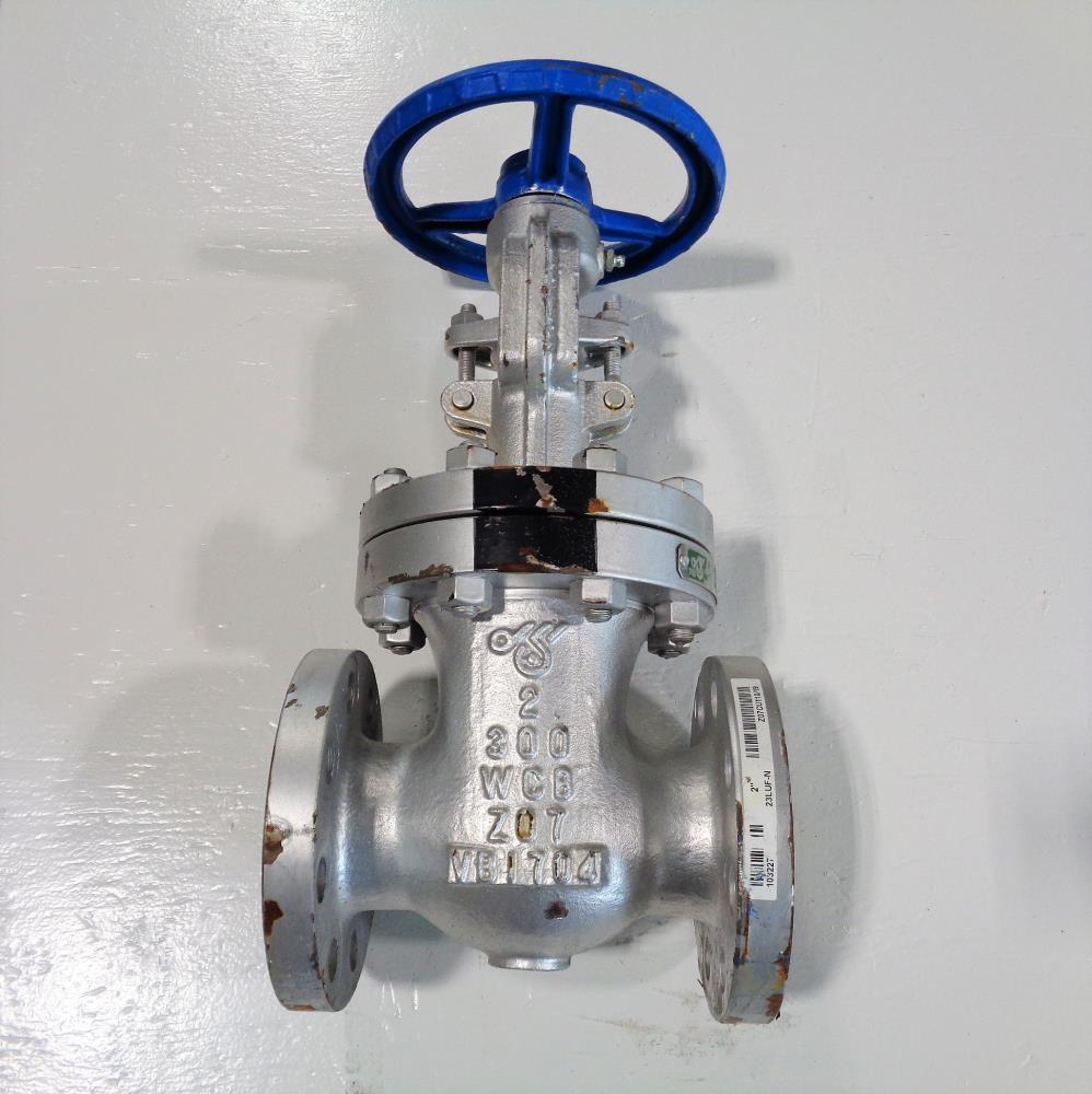 DSI 2" 300# WCB Gate Valve, Fig# 23LUF-N